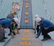 한국산업안전보건공단, 소규모 사업장 중심 ‘산재 예방 안전체계 컨설팅’ 실시