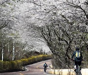 인천시 옹진군, ‘인어의 전설’부터 콩돌해안까지…섬 여행지로 주목