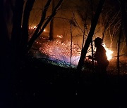 안동 산불 2시간20분 만에 완진…인명 피해 없어