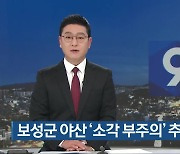 보성군 야산 ‘소각 부주의’ 추정 화재