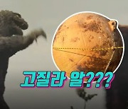 하늘에서 떨어진 공룡알?”…해변에 있는 쇠공의 정체는?