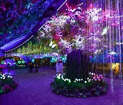 [WEEKEND GETAWAY] Get into the holiday spirit with Korea's festive light attractions