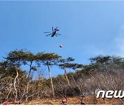 부여 산불 47분만에 진화…쓰레기 소각 중 불씨 비화 추정