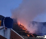 강풍타고 번지는 대구 앞산 산불