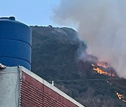 강풍타고 번지는 대구 대덕산 산불