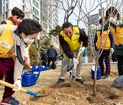 최호권 영등포구청장 '나무 심기 자원봉사' 참가