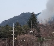 대구 앞산 산불…4시간 25분만에 주불 진화