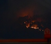 대구 대덕산 산불, 소방당국 진화중