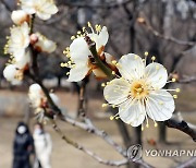 아침 춥지만 포근한 낮 기온…큰 일교차 주의