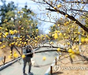 [날씨] 짙어지는 봄기운…수도권 등 미세먼지