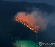 대구 남구 앞산 불 4시간여만에 주불 진화…4㏊ 소실 추정(종합2보)