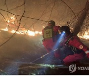 대구 앞산 화재 진화현장