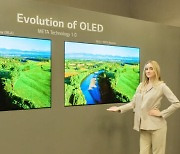 "올해 TV용 OLED 패널 출하량 LG 760만대, 삼성 150만대 전망"