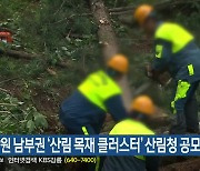 강원 남부권 ‘산림 목재 클러스터’ 산림청 공모 선정