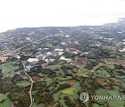 하늘에서 본 제주 제2공항 예정지