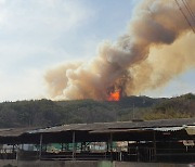 경남 합천 산불 더 번졌다…'대응 3단계' 발령