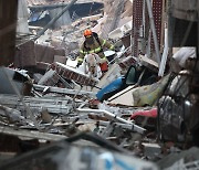 [애니멀리포트] ‘우리는 네 발로 뛰는 구조대원입니다’...튀르키예 지진현장에서 활약하는 ‘숨은 히어로’