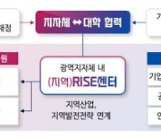 RISE 시범지역 7곳 선정...대학 지원 지자체로 이관