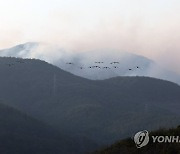 합천 산불, 산림청 대응 3단계 발령