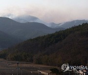 합천 월평리 산불 연기