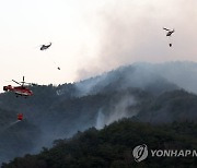 분주한 합천 산불 진화 헬기