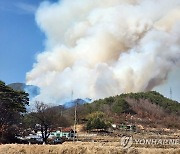 합천 산불 '대응 3단계' 발령…6개 마을 210여명 대피(종합2보)