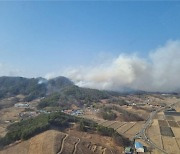 충남 부여 옥산면에 산불…4시간 만에 진화(종합)