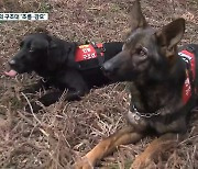 함양군 지곡면 야산 불…30분 만에 진화