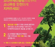 "소나무재선충병을 막아라"…산림청, 소나무류 이동 특별 단속