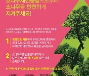 재선충병 피해 확산 막는다…‘봄철 소나무류 이동 특별단속’