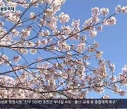 봄 향기 물씬…4년 만에 봄꽃축제 ‘설렘’