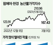 상추·양상추값↓…양파값은 지난해 두 배