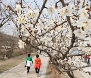 초여름 날씨 이상하다 했더니…주말 이후 강풍 동반 꽃샘추위