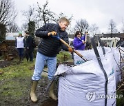 NETHERLANDS ROYALS