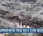 광양매화축제 역대 최대 인원 방문