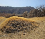 경찰, 이재명 부모 산소 훼손 내사 착수…“혐의 구체화 후 CCTV 확보”