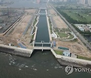 인천 송도 '워터프런트' 수질 조사…어류 폐사 등 대응