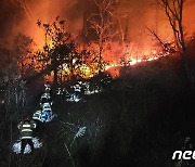 경북 봉화 야산서 산불