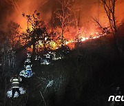 경북 봉화 소천면 야산서 산불…화선 1부능선→4부능선 100m 확대