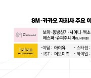 K-팝 시장 지각변동...카카오, 엔터 업계 우위 '껑충'