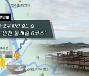 [하루만보]바다가 만든 신비의 땅 …인천 습지·포구 따라 걷는 길