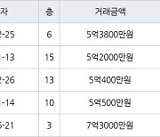 성남 정자동 정자한솔마을주공4차 36㎡ 5억3800만원에 거래