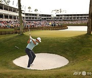 셰플러, 플레이어스 챔피언십 5연속 버디로 압승…PGA 6승째 '우승상금 59억원'