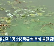 환경단체 “영산강 하류 쌀 독성 물질 검출”