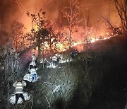 봉화 소천면 야산 산불…산림당국 진화 중