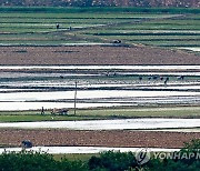 北, 봄철 밀·보리 본격 파종 시작…'가뭄 대비 철저' 주문