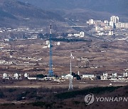 고요한 서부전선 DMZ