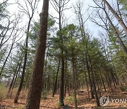 울주군, 동해고속도 문수IC 주변에 기후대응 도시숲 조성