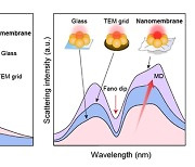 고려대 이승우 교수팀, 나노 박막 기술 이용한 콜로이드 나노 광학 측정