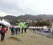 광양시, 매화축제 바가지요금 강력 단속 추진